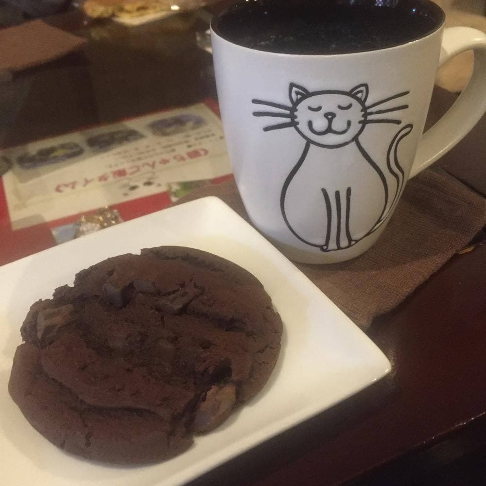 猫カフェ れおん