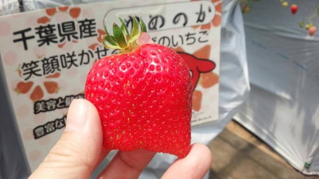 小山ファーム - サブ画像1