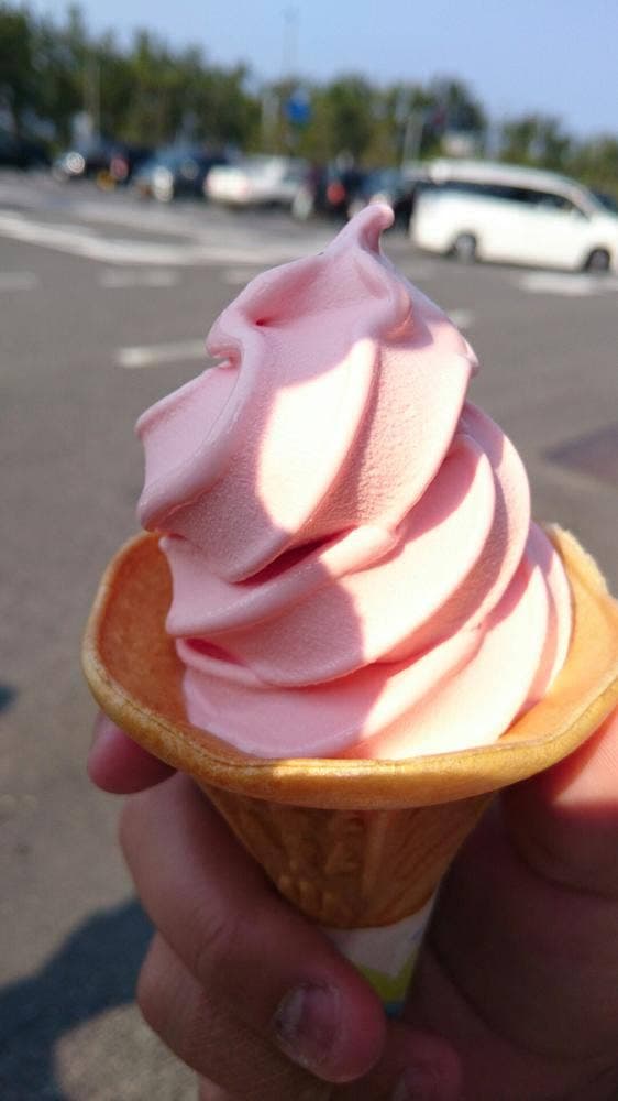 レストインだいば 道の駅大栄