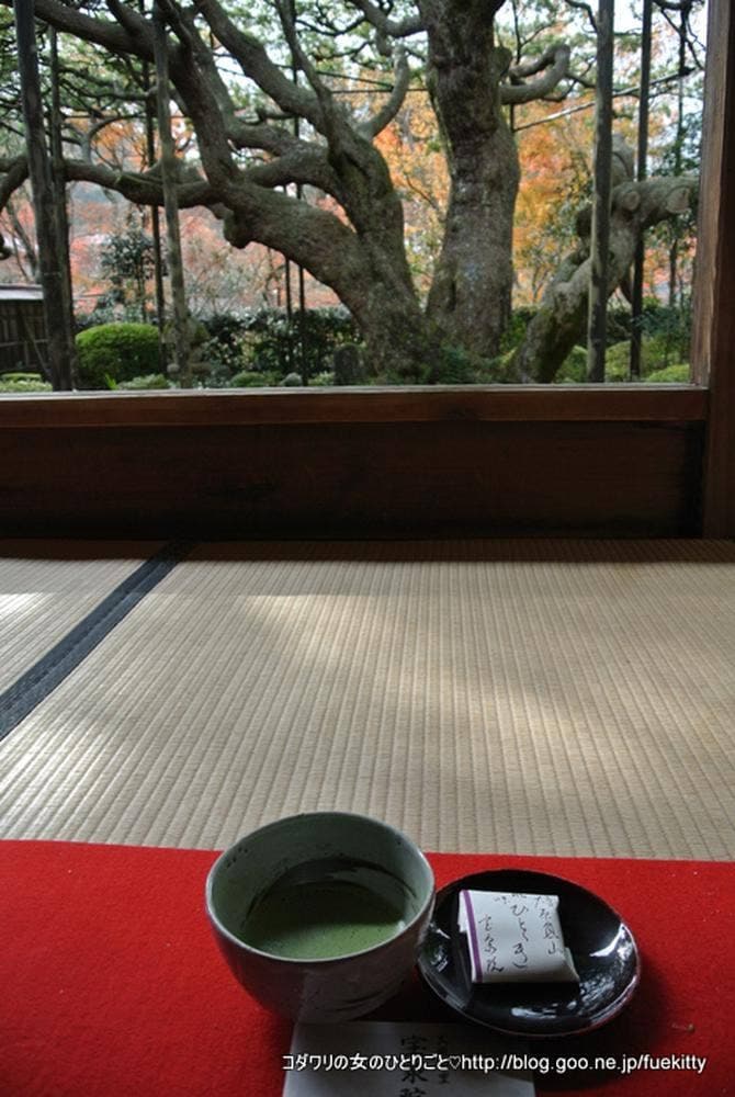 宝泉院