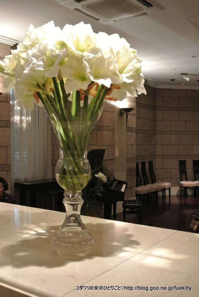 ザ クラブ オブ エクセレントコースト - サブ画像1