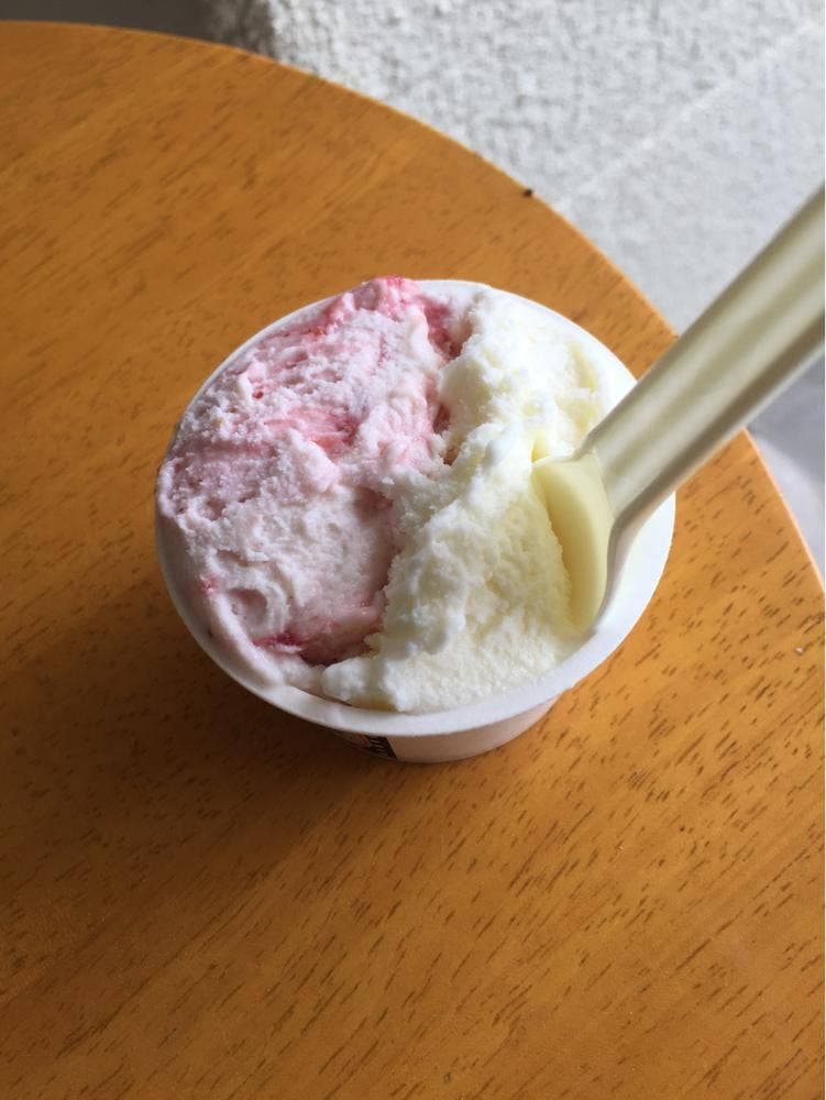 ジェラートFactory Diolino
