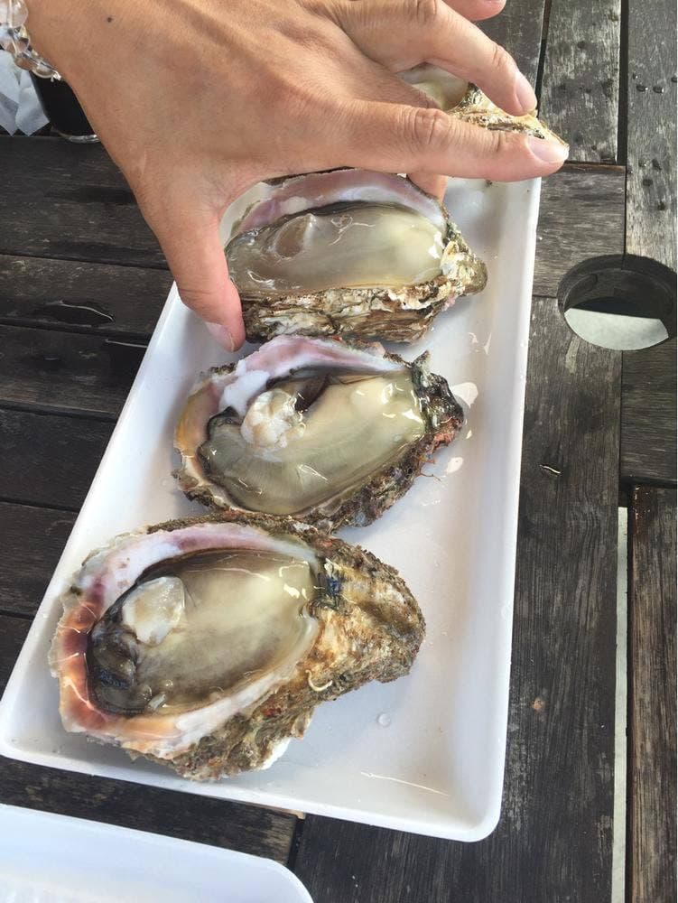 魚売り処 新鮮家