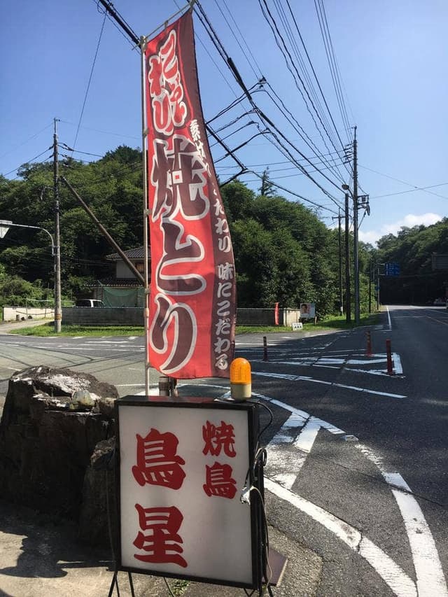 鳥星 - サブ画像2