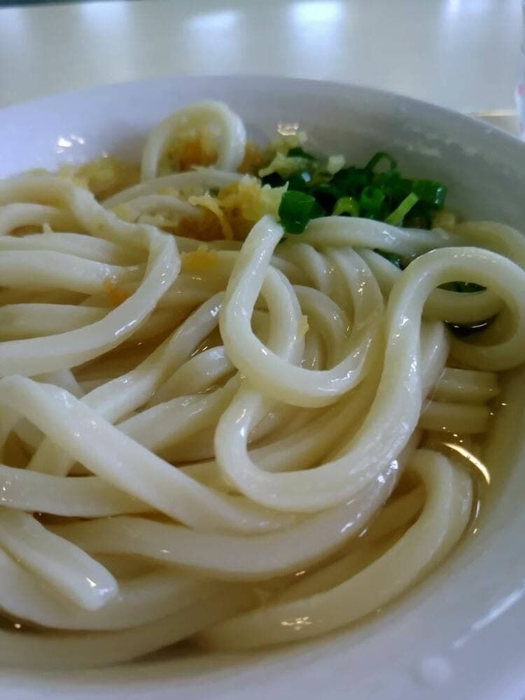 ワークプラザたんぽぽ