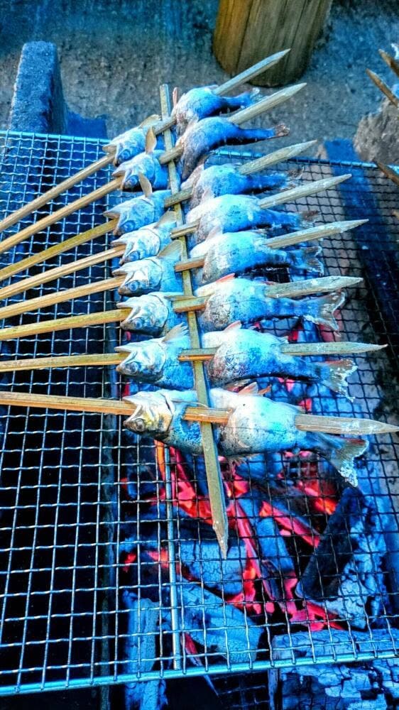 日名倉養魚場 - サブ画像1