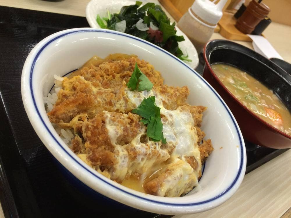かつや 江別野幌店