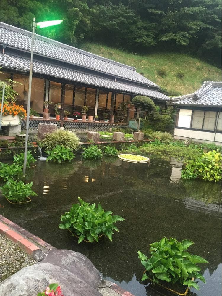池山養魚場