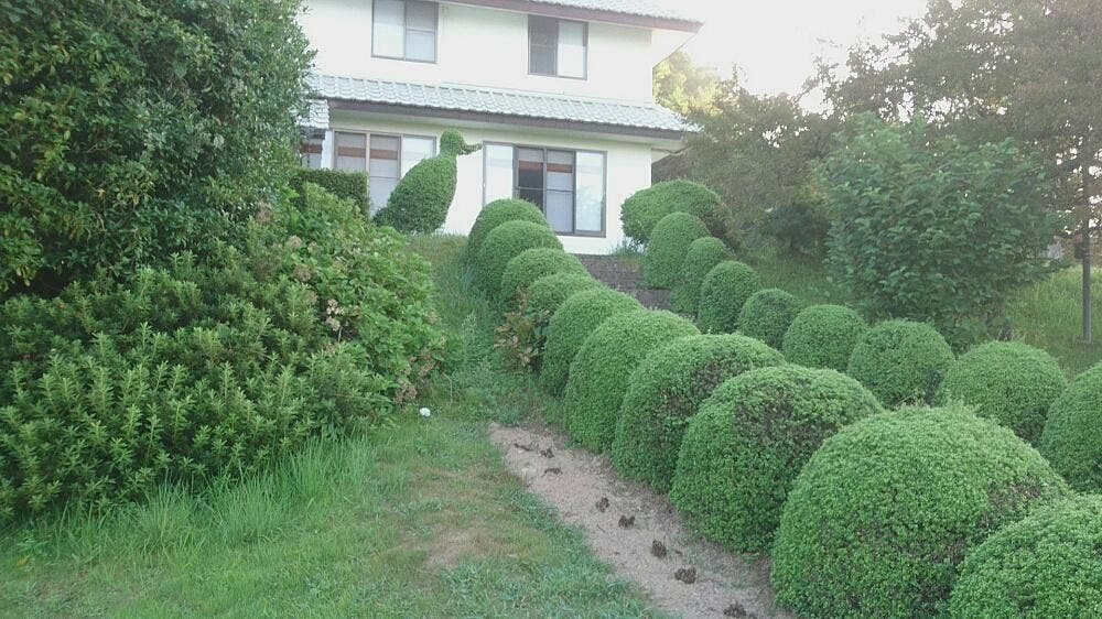 迦陵の森ペンション