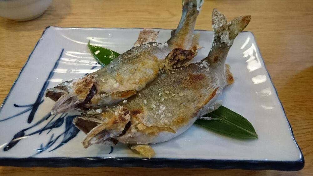美山観光やな
