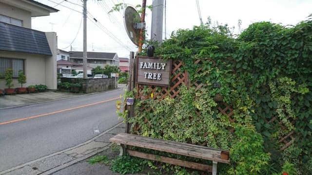 音楽食堂 FAMILY TREE - サブ画像1