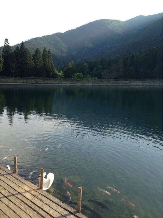 ミッシェル 伊奈ケ湖店 - サブ画像1