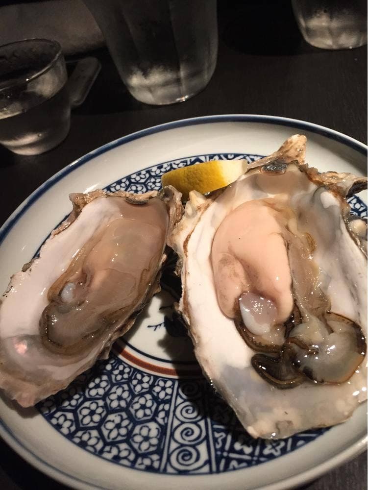 海豚