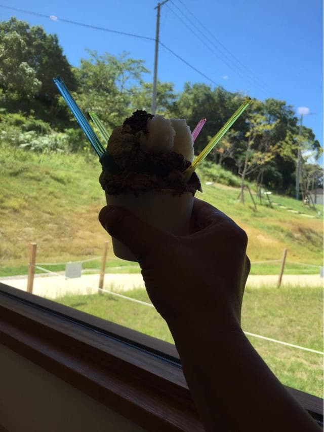 大池ジェラート 風水花 - サブ画像2