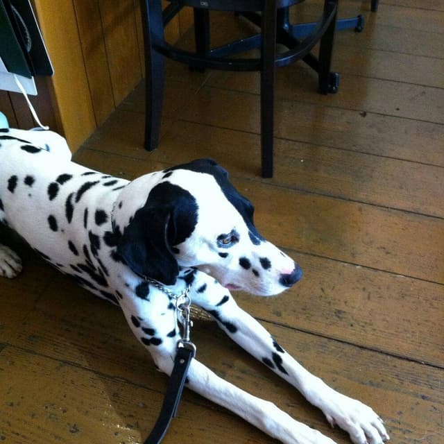 Rela....x - サブ画像1