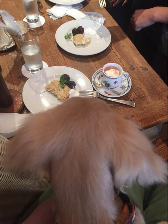 Veranda - サブ画像3