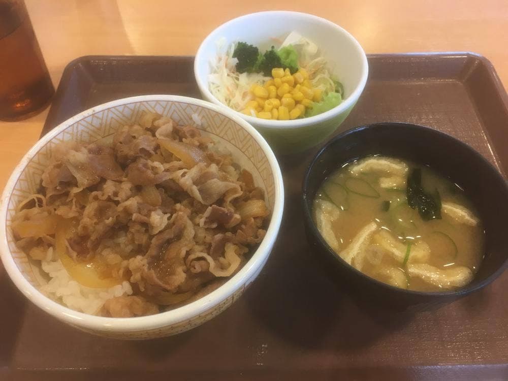 すき家 4号矢吹店