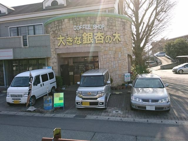 大きな銀杏の木 - サブ画像1