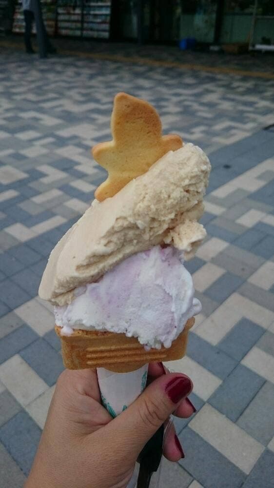 Gelate & Smoothie 道の駅常陸大宮かわプラザ - サブ画像3