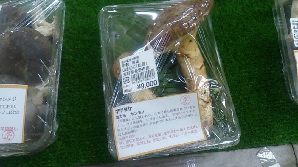 地場産業開発センター