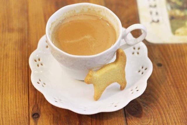 キャットカフェ てまりのおうち - サブ画像1