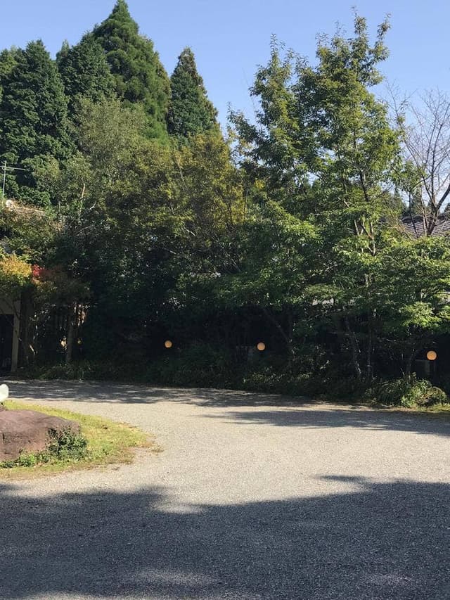日本料理 さか本 - サブ画像3