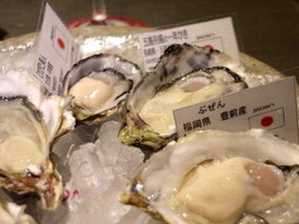 oyster&wine ESTOMAGO