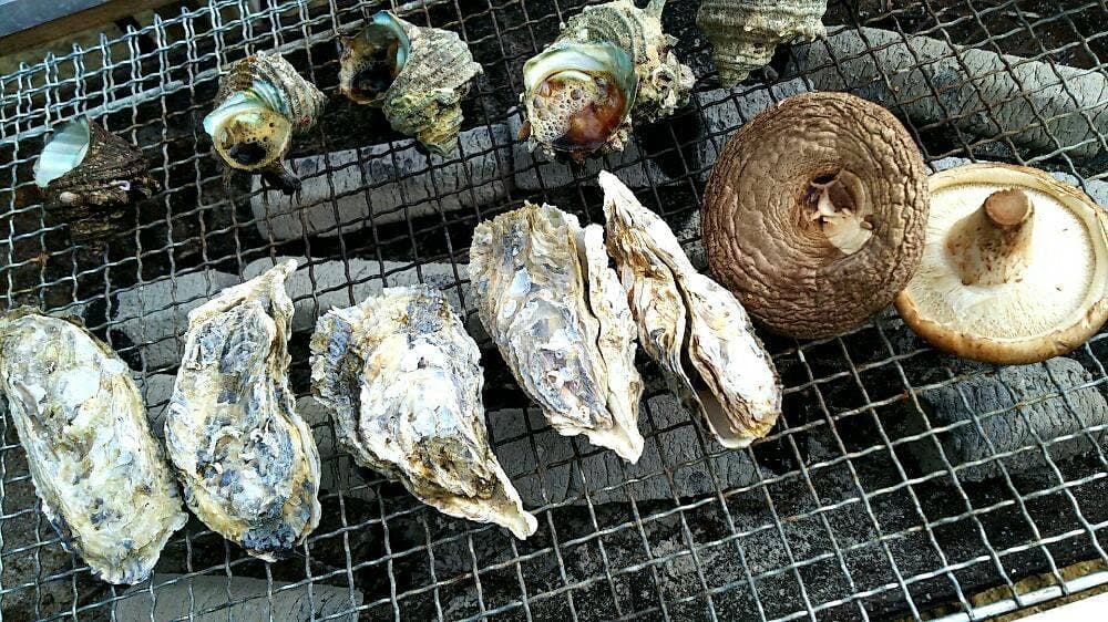 炭火焼 糸海