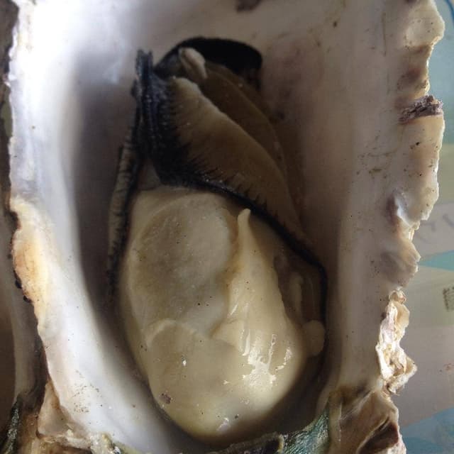 高栄水産 - サブ画像1
