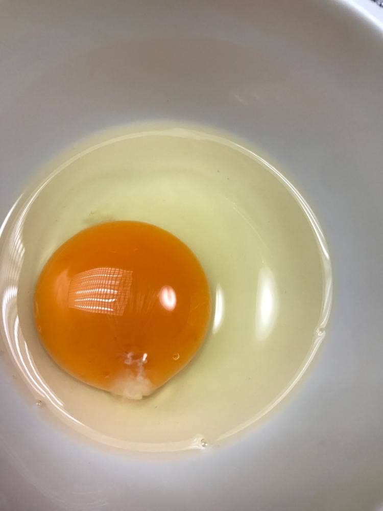 長生たまご館 府中店