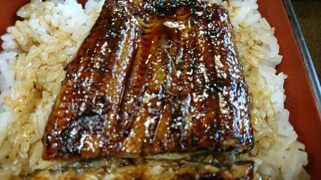 ふぐ・四季亭みえの - サブ画像3