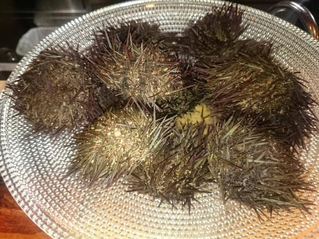 産地直送 うに専門店 海栗屋 市川 - サブ画像3