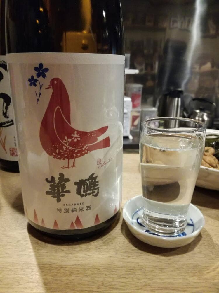 雨ねこ。