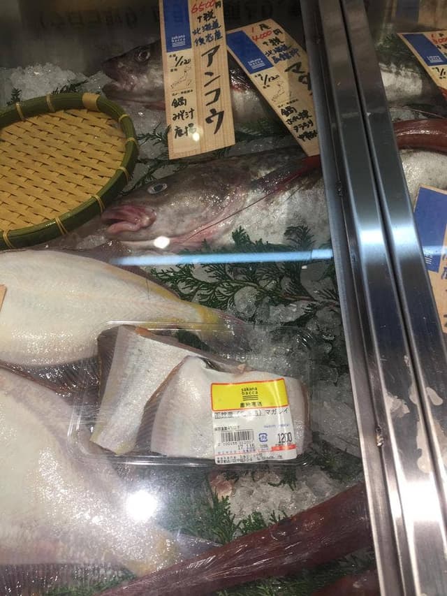 Sakanabacca 中延店 - サブ画像3