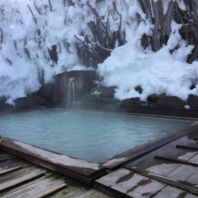新野地温泉 相模屋旅館 - サブ画像2