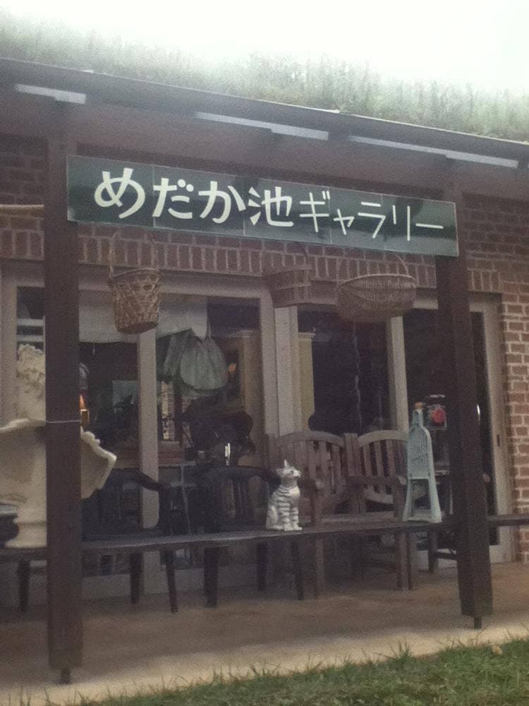 めだか池ギャラリー