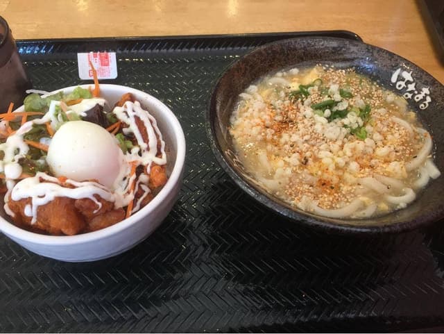 はなまるうどん イオンタウン豊橋橋良店 - サブ画像1