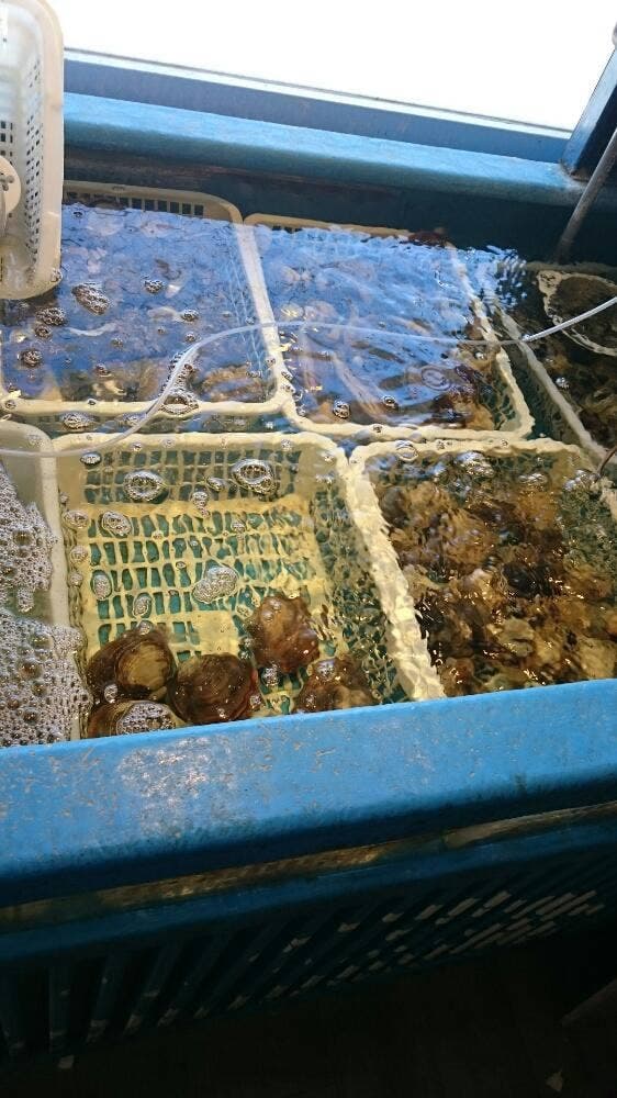 磯丸水産 保谷南口駅前店 - サブ画像2