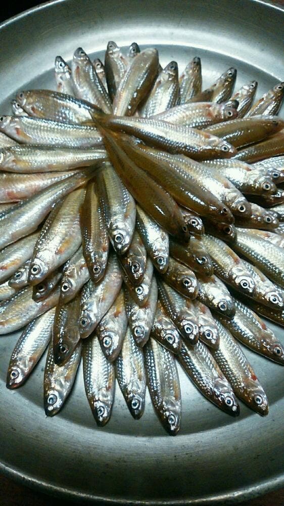 魚清楼 - サブ画像1