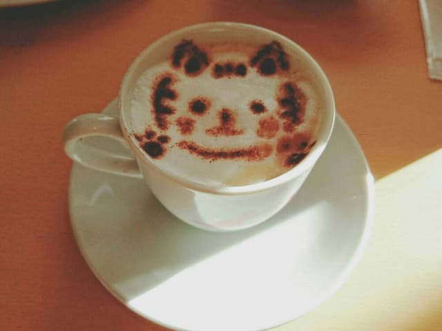 猫カフェねこぐるま - サブ画像1