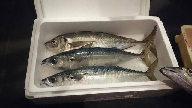 魚旬 うさぎ屋 - サブ画像2