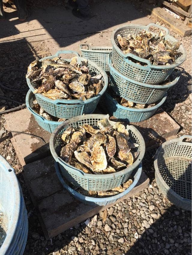 BBQセンター モンキー - サブ画像1