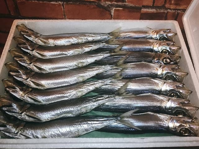 ひもの塾 伊勢店 - サブ画像1