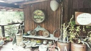 オーガニックカフェ はなさか