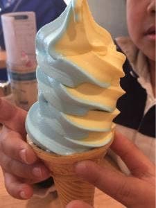 瀬戸田PA上り