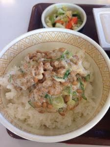 すき家 464号千葉NT白井店