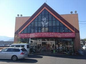 ef cafe