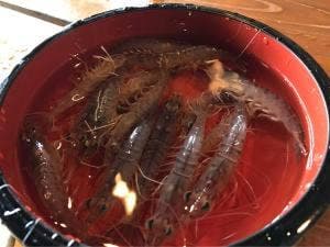 漁火