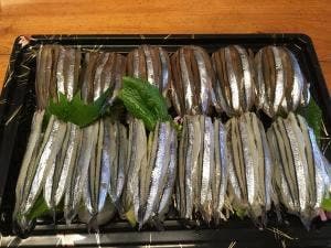 きびなご寿し 味千