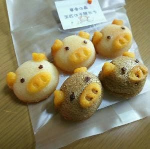夢舎夢舎
